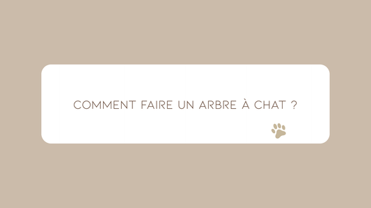 Comment faire un arbre à chat ?