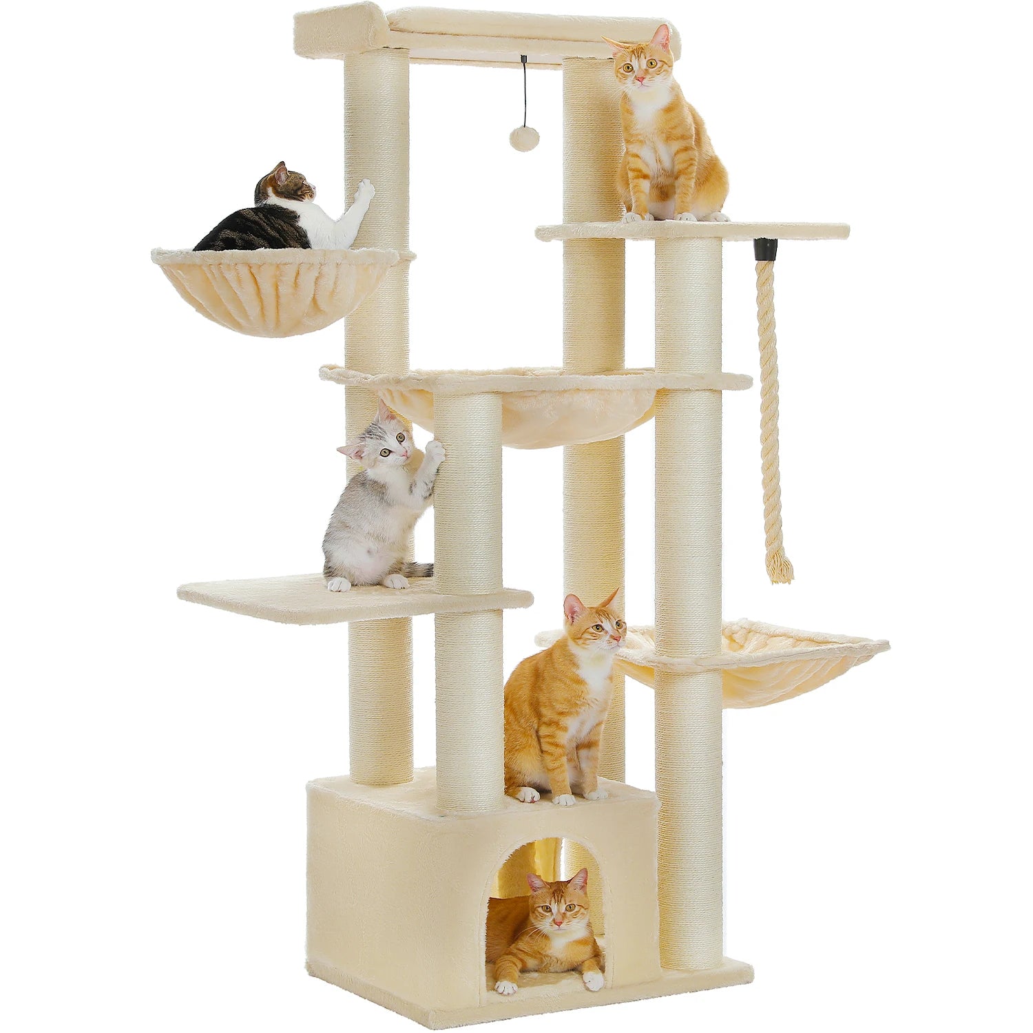 Arbre à chat <br> XXL beige