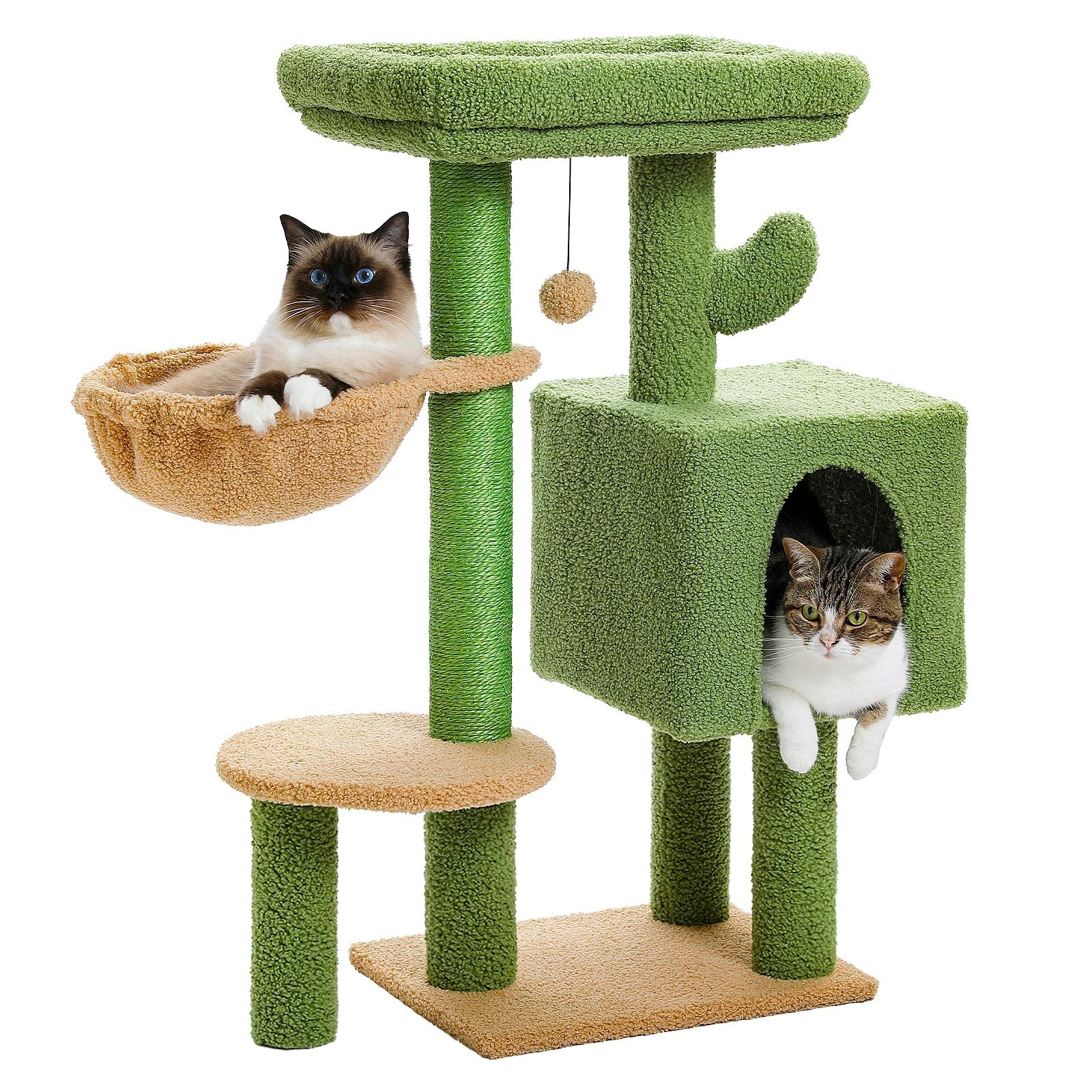 Arbre à chat <br> hamac cactus