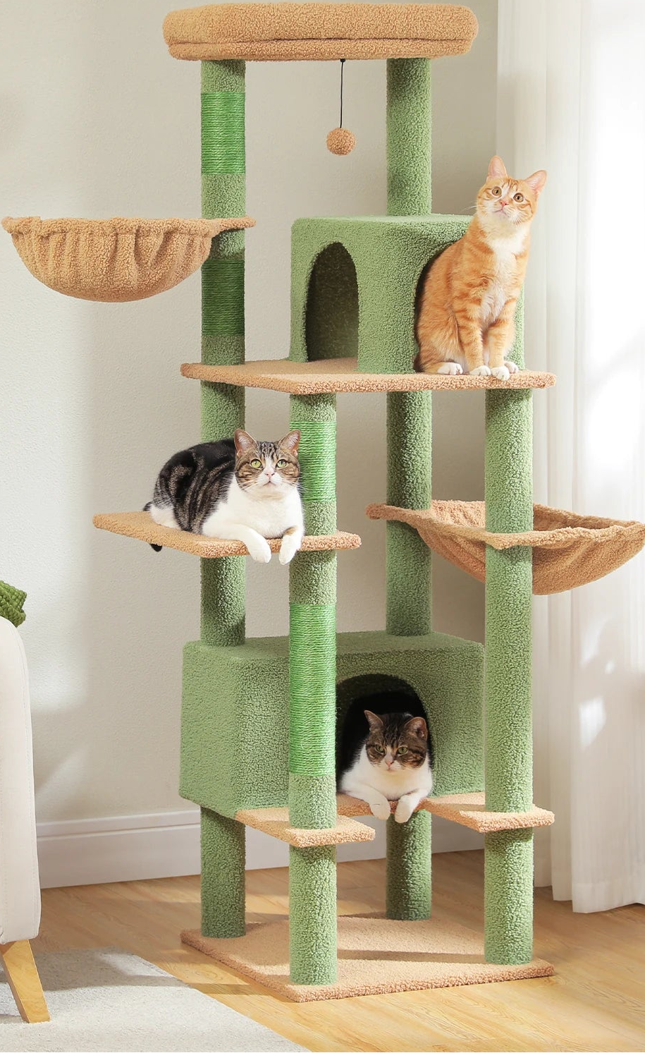 Arbre à chat <br> cactus 2 hamacs