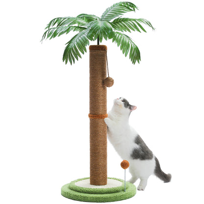 Arbre à chat <br> palmier