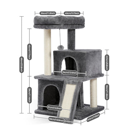 Arbre à chat <br> chaton