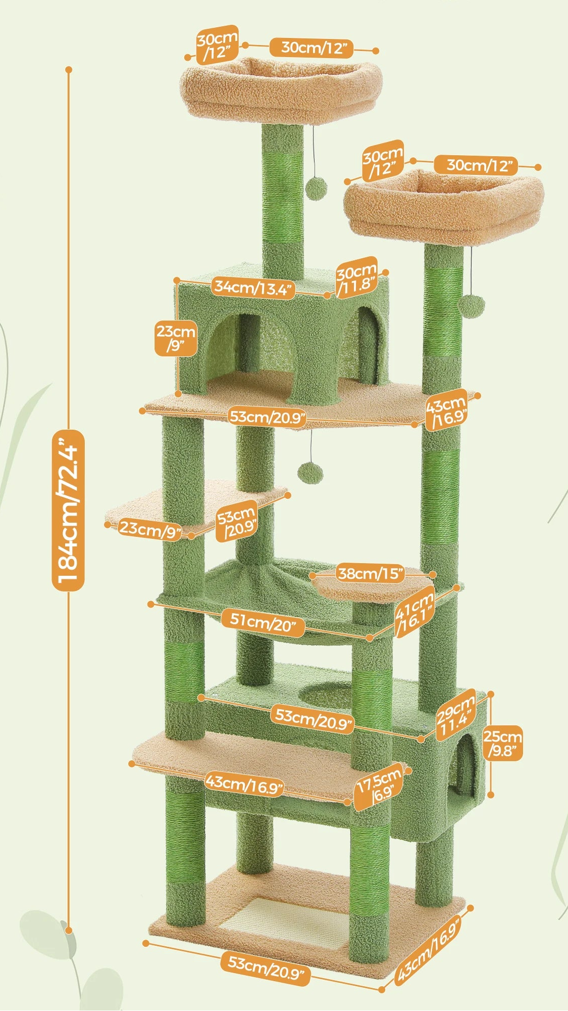 Arbre à chat <br> cactus vert