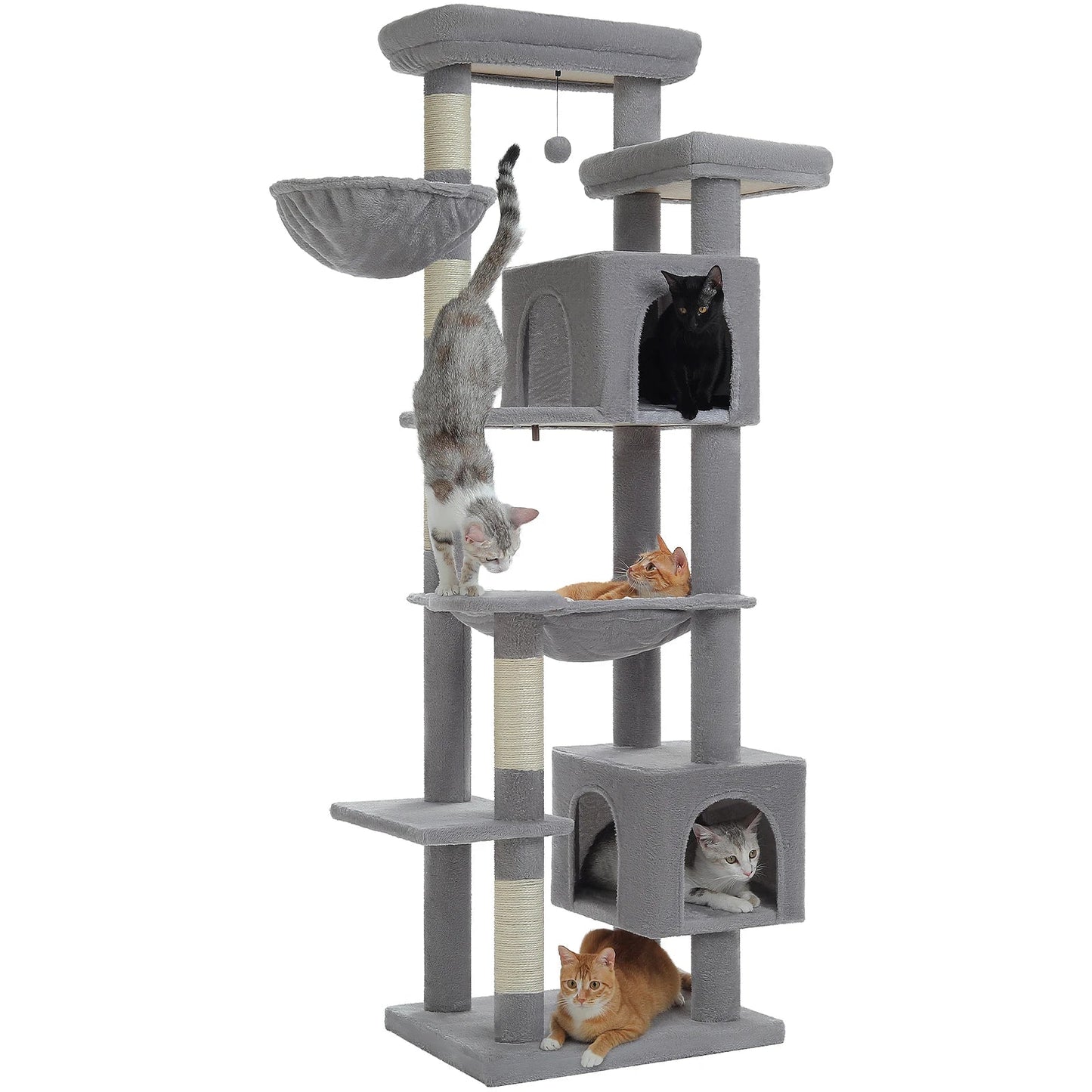 Arbre à chat <br> avec hamac