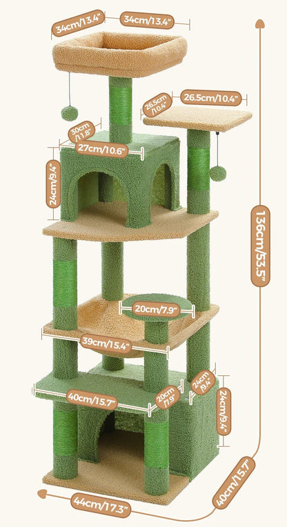Arbre à chat <br> cactus et hamac