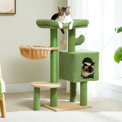 Arbre à chat <br> hamac cactus