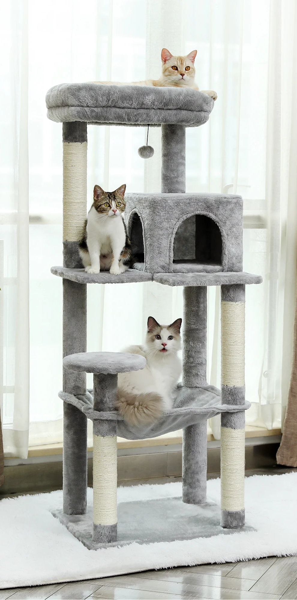 Arbre à chat <br> maine coon design