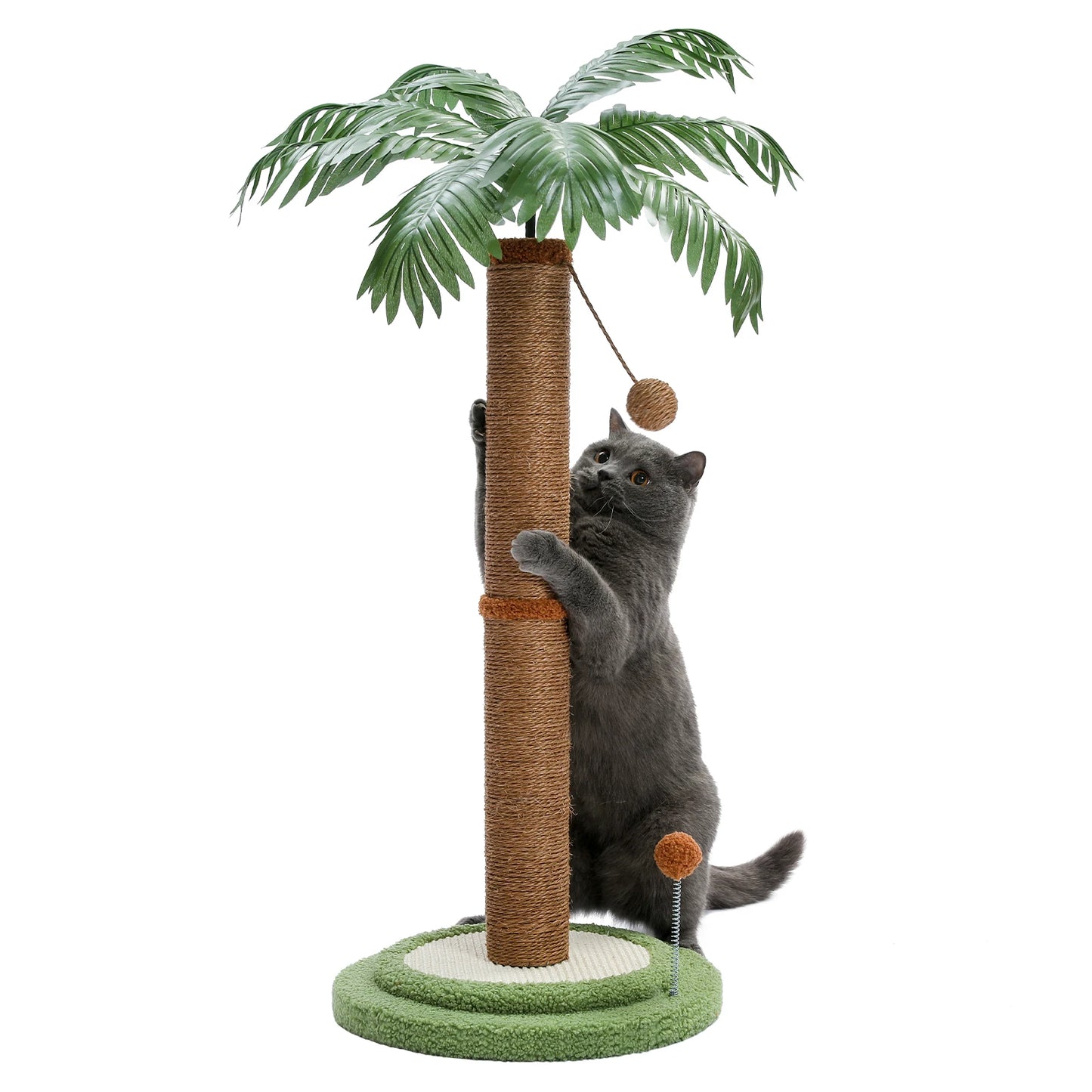 Arbre à chat <br> palmier